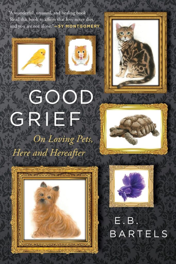 When is it time to get another pet after loss? There's no universal timeline — but there are real questions worth asking. Here's what the research says and how to know when you're ready.