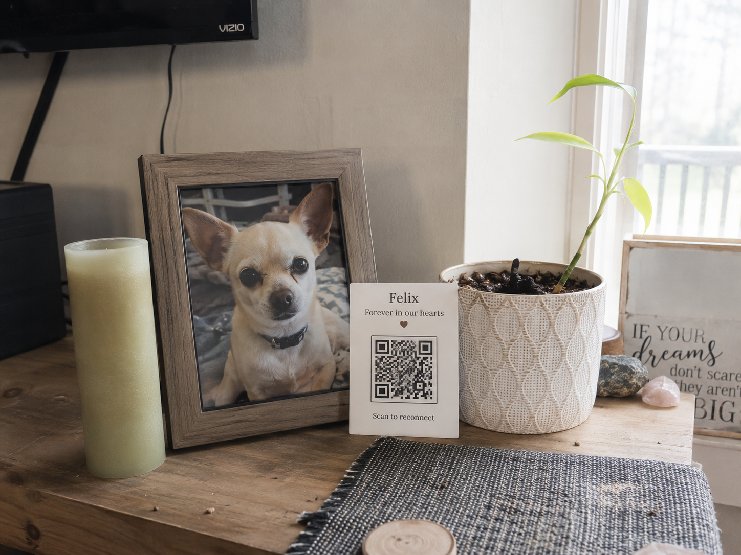 Felix's pet memorial space