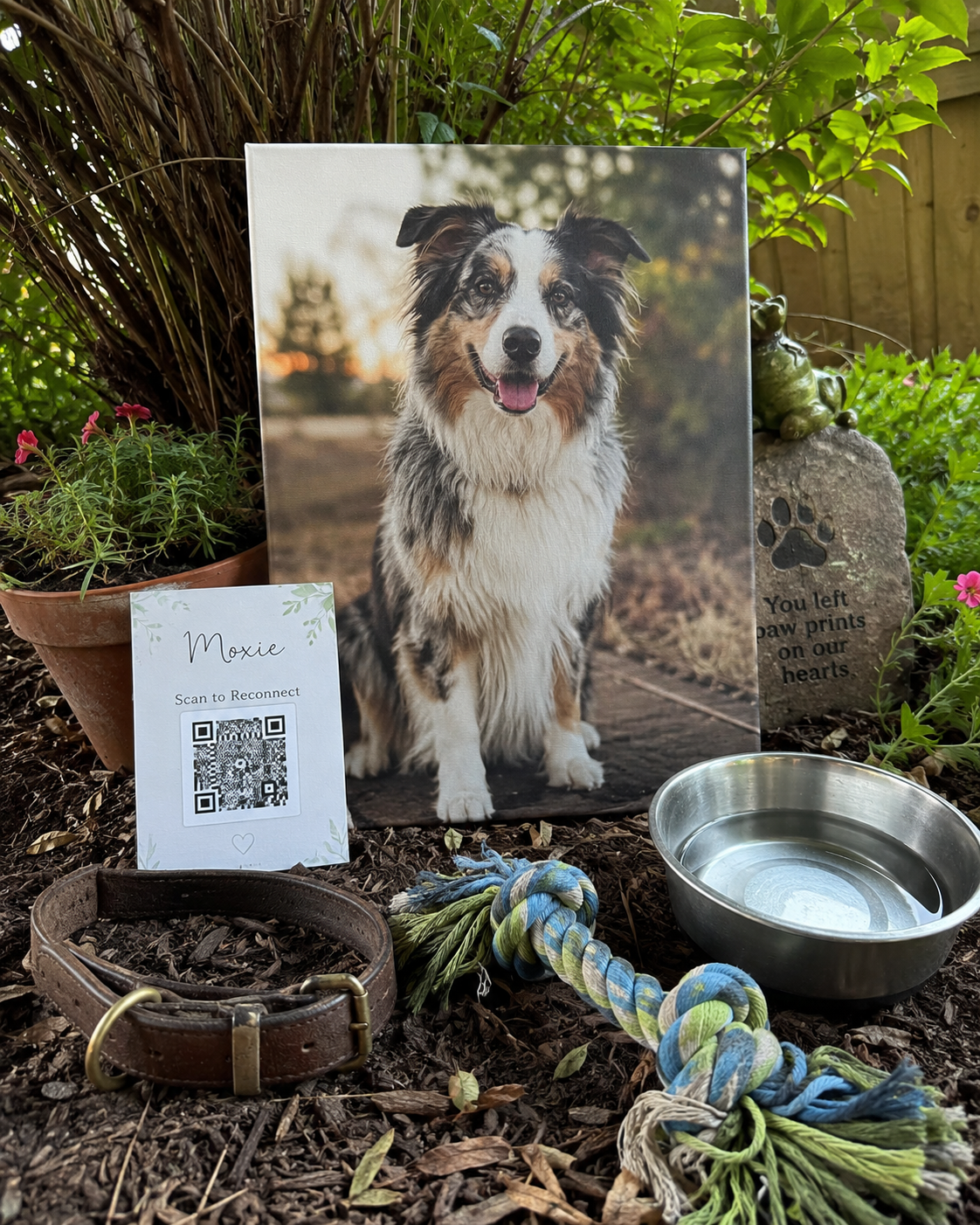 Moxie's pet memorial space