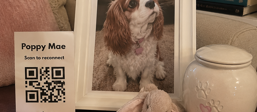 What Do I Do With My Pet’s Ashes?