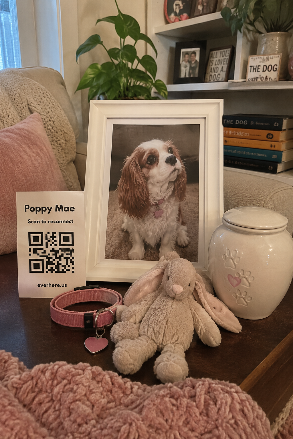 What Do I Do With My Pet’s Ashes?