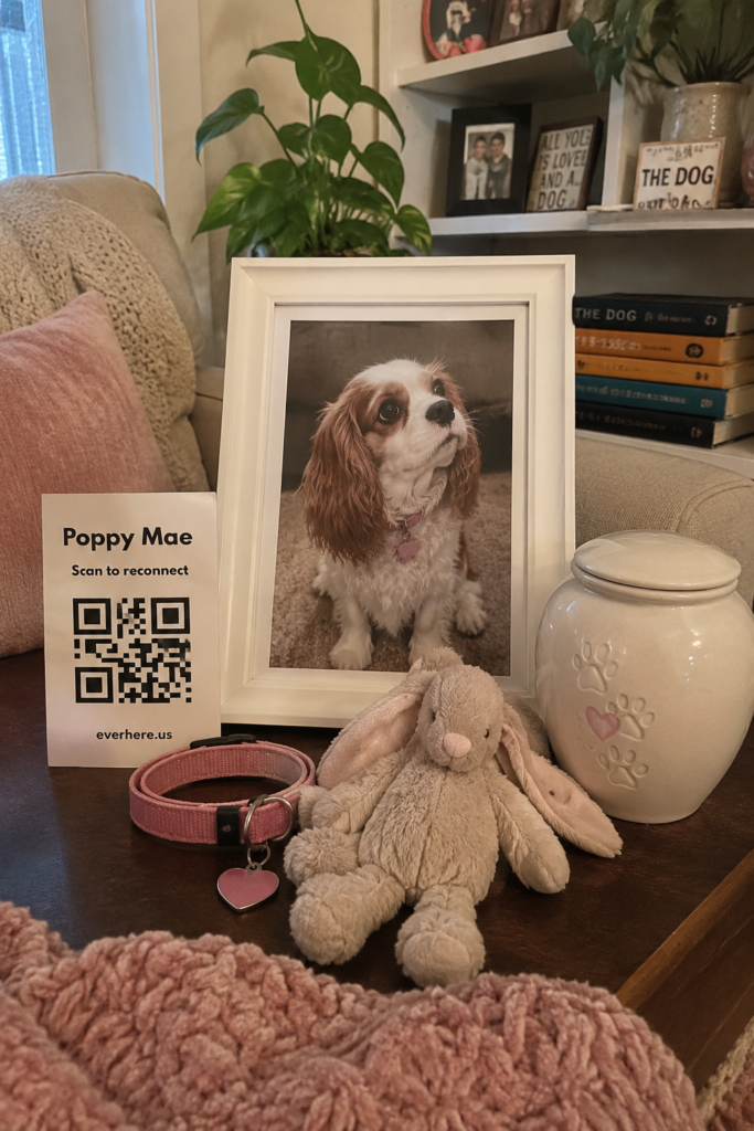 What do I do with my pet's ashes? This complete guide covers every option — keeping at home, scattering, burying, jewelry, living memorials — with honest advice on costs and how to decide.