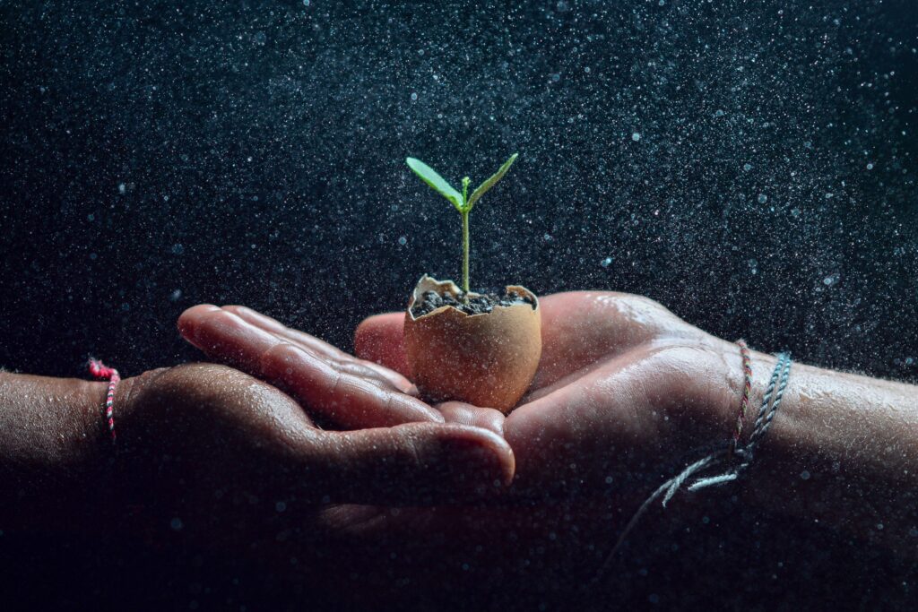 Planting your pets ashes with seedling or tending a new plant is a wonderful way to continue honoring your pet. Everhere.us
