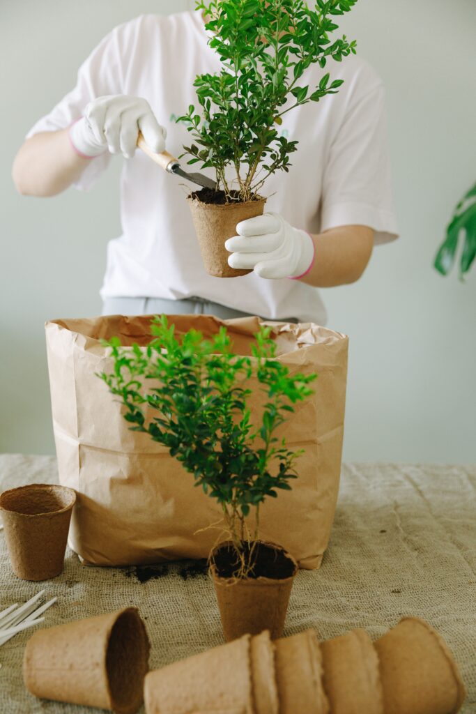Pet death anniversary ideas that actually feel meaningful — from making something with your hands to doing good in their name. Ways to honor the day for every year that follows.