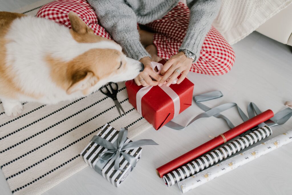 Wrapped gift box on a table with a dog sitting nearby in a warm home setting